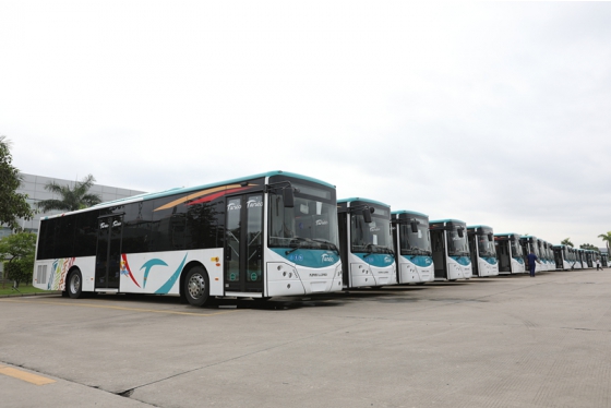 Значение автобусного транспорта в развитии туризма в Петербурге